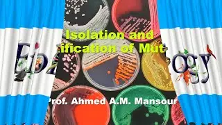 Isolation and identification of Mutant Bacteria