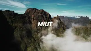 MIUT 2023