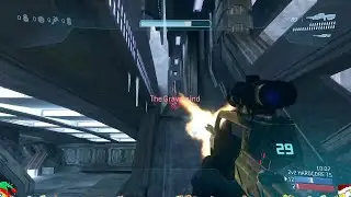 DOMINATING WITH PRO HALO PLAYER TRIPPPEY
