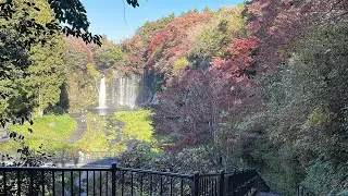 4K Japan Walk - beautiful morning walk around Fujinomiya shiraito falls 