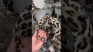 leo print is all i care about atm 🐆🤎 #leopard #jewelry #hairclip #shopping #shopwithme #haul