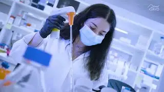 iGReD Lab - Team Genetic instabilities and control by the host genome