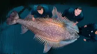 Never-Seen-Before Deep Ocean Mysteries Revealed! 🐋😱🌊
