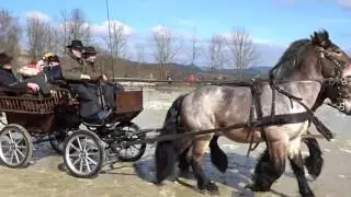 Schwartmecke 2016