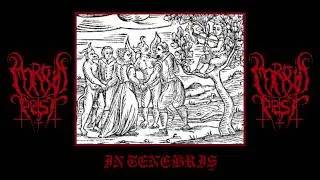 Morbid Pest - In Tenebris