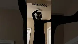 chased by cartoon cat #scary #shorts