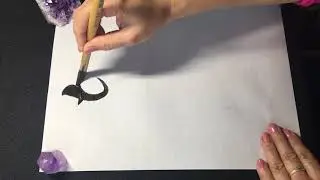 Japanese calligraphy painting:&rdquo;Princess Mononoke&rdquo;