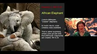 &ldquo;De-colonizing African Science and Scientists in Pliny the Elder&rdquo; by Dr. Molly Jones-Lewis