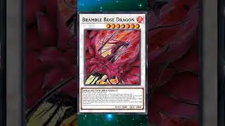 Black Rose Dragons New Form #yugioh #yugiohtcg #yugiohcards