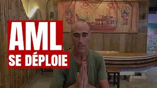 l'AML pour geler les fonds et contrôler la monnaie.