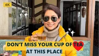 Complimentary Darjeeling TEA Tasting 🫖 at Kurseong | Cochrane Place &ndash; Land of White Orchids
