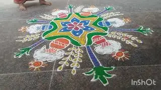 11 January 2026.sankratichukkalamuggulu#colorfullrangoli#13×7dots#bhogikundalamuggulu#pongalpots