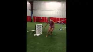 Jobs agility training