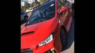 Subaru WRX Carbon Fiber Roof Wrap
