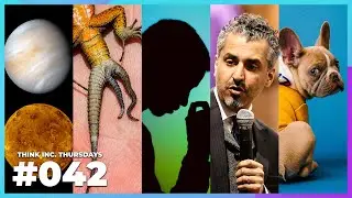 Venus&rsquo; Glowing Surface, Lizard Tails, Puppy Love, and more! | Think Inc. Thursdays #042