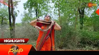 Nandini - Highlights of the day | Watch full EP Sun NXT | 20 Jan 2026 | Gemini TV
