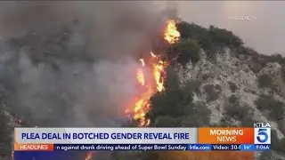 El Dorado gender reveal fire defendants reach plea deal