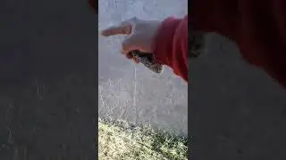 otra vez. los enga&ntilde;iles