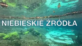 🎥🍃Rezerwat Niebieskie Źródła i skansen rzeki Pilicy 🌳