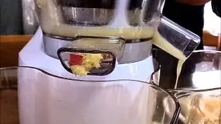 ヒューロムスロージューサー HU-400でミックスジュース　Hurom Slow Juicer