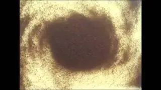 Universal Cycle Theory - Part 3: Simulations of Accretion/Gravitation
