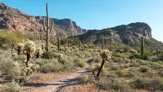 Lost Goldmine Trail, Gold Canyon 