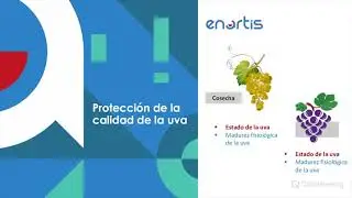 Los puntos m&aacute;s cr&iacute;ticos durante el proceso de vinificaci&oacute;n - Sesi&oacute;n 1