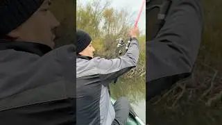 Сидим рыбачим #fishing #лесной #рыбалка #река #речнаярыбалка