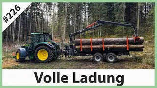 3 Keile für ein Hallelujah - Fichte hängt falsch