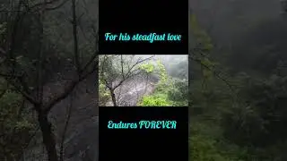 Our God will never forsake us#bible#biblequotes#bibleverse #positivity#shorts#shortsvideo#shortvideo