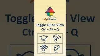 Toggle Quad View - Ctrl + Alt + Q #blender #tutorial #beginner #b3d