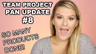Team Project Pan 2020 Update #8