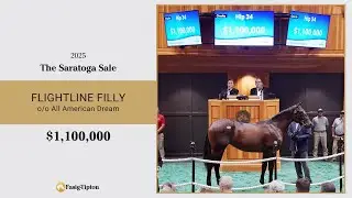 Flightline filly sells for $1,100,000 at The Saratoga Sale (2025)