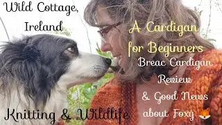 Wild Cottage Ireland; вязание и дикая природа: кардиган для начинающих, обзор пряжи и новости от &laquo;Our&raquo; Fox
