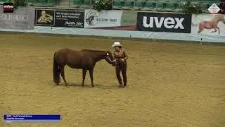 Mareike Asmussen, Cool Fairytale Emma, Deutscher Meister Showmanship at Halter, 2021 EWU GermanOpen