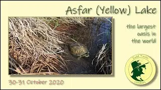 Asfar (Yellow) Lake (بحيرة الأصفر)