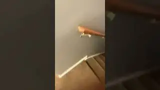 Bay right bust a left