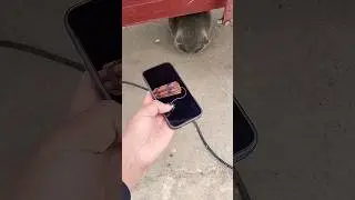 Galti Se Bhi Ye App Download Mat Karna!  #ScamAlert #shortvideo