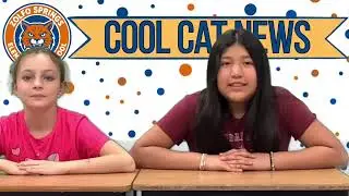 Cool Cat News: 1/23/26