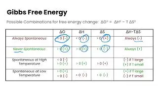 Gibbs Free Energy