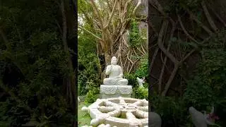 Beautiful Buddha Statue & Garden at Marble Mountain 🇻🇳 #vietnam #danang #buddhism #shorts #travel