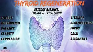 THYROID REGENERATION - Restore Balance, Energy & Expression (Morphic Field)