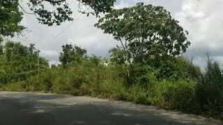 Driving through Moneague | St Ann