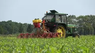 Mais schoffelen en vanggewas onderzaaien met John Deere 3130 en AVP PS 120 M1D zaaimachine (2019)