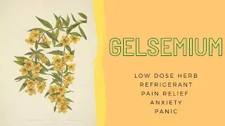 Gelsemium - a low dose medicine
