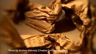 The Sleep Emporium: Packing Paper Noises (Soft-Spoken with American Accent)