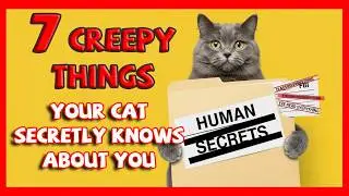 What Your Cat SECRETLY Knows About You