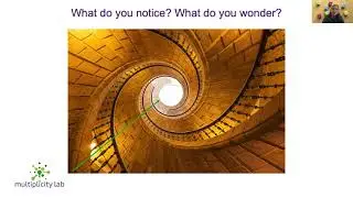 What do you notice? What do you wonder?