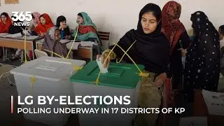 LG by-elections: Polling underway in 17 districts of KP | 365 News