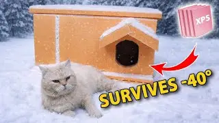 I Turned Cheap Insulation Into A Cat House &mdash; Now My Cat Won't Leave